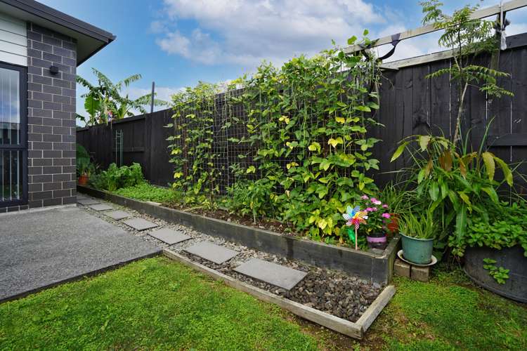 33 Medway Place Chartwell_15