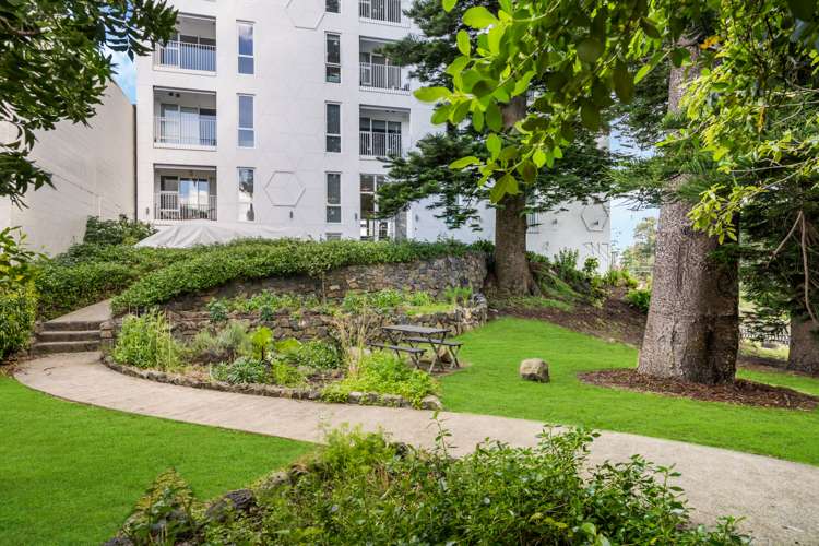 303/11 Akepiro Street Mount Eden_0