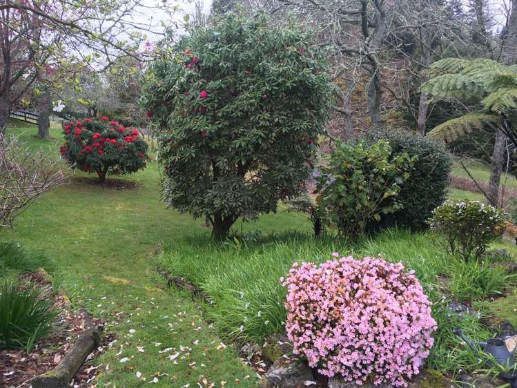 637 Fullerton Road Waitomo_32