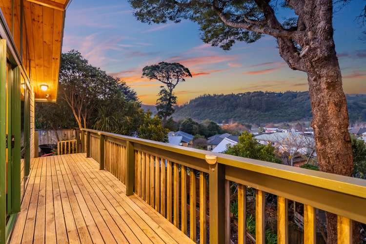 19 Carlow Grove Birchville_5