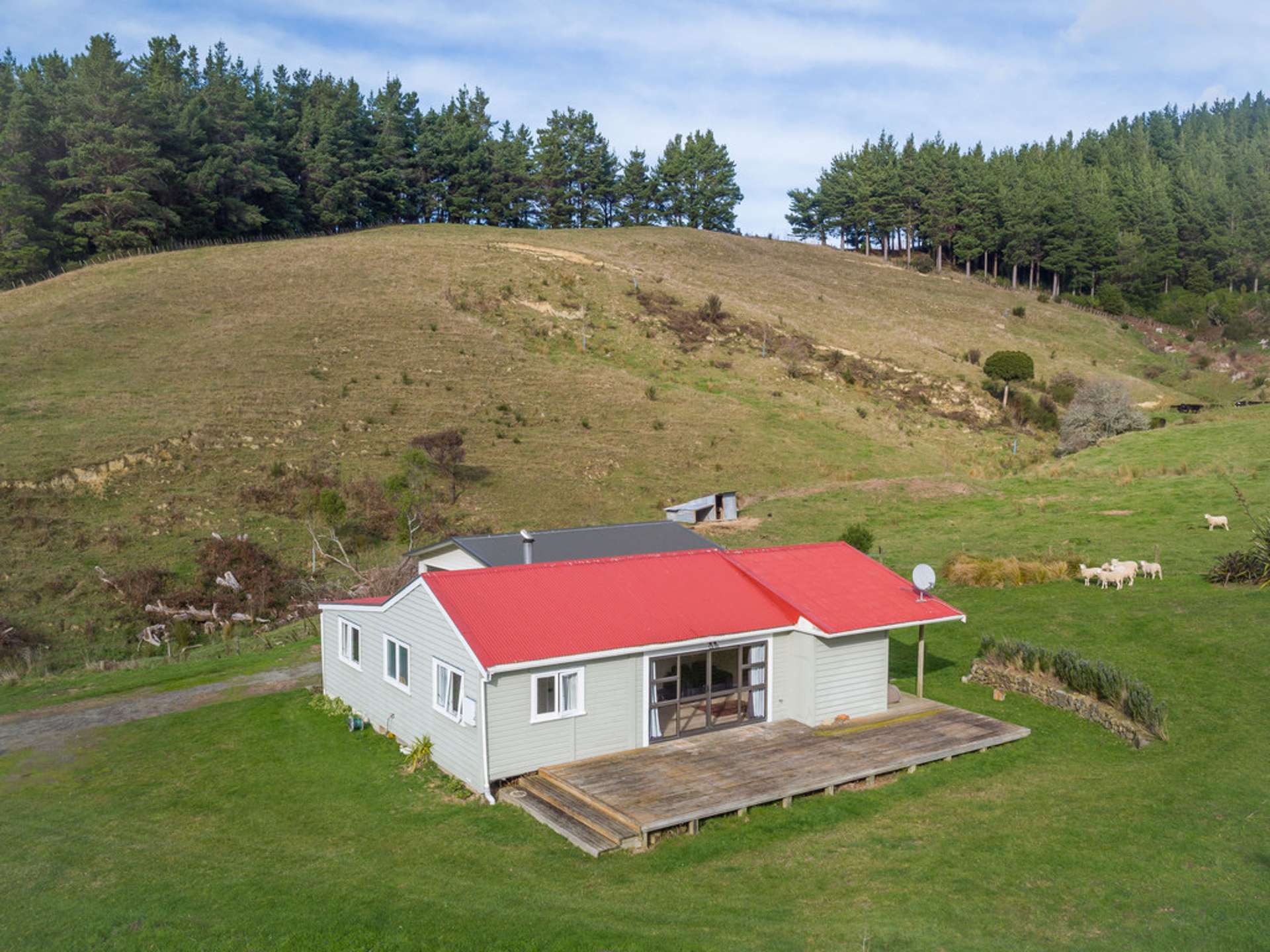 579 Jacksons Line Mauriceville_0