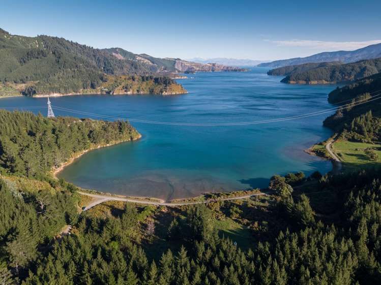 Queen Charlotte Forest, Onapua Bay Marlborough Sounds_8
