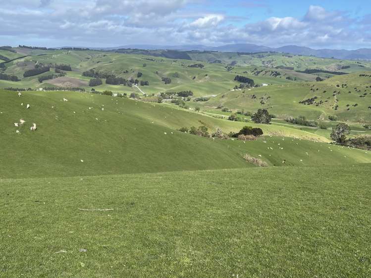 8 Munro Road Lawrence_14