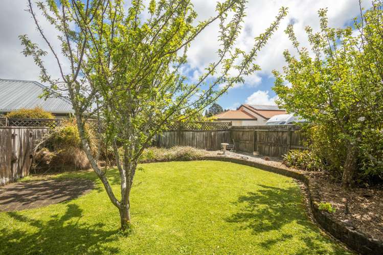 29C Heta Road Highlands Park_19