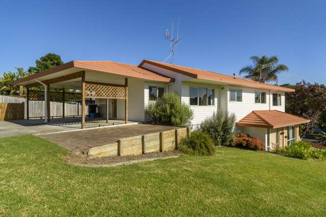 17 Te Koari Drive Brookfield_1