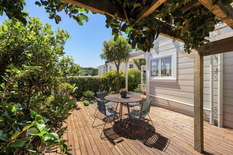 6 Seddon Terrace Newtown_7