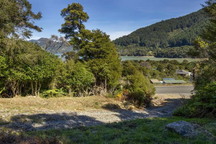 Lot 42 Kaiuma Bay Road Kaiuma Bay_8