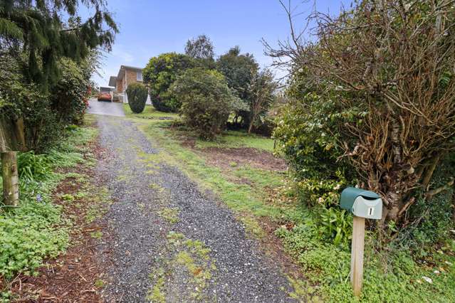 1 Huia Street Piopio_4