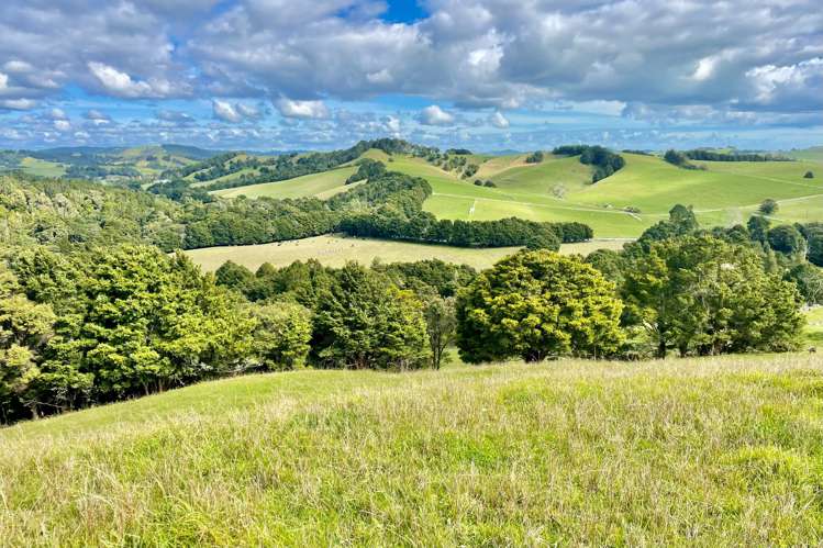 173 Day Road Wellsford_26