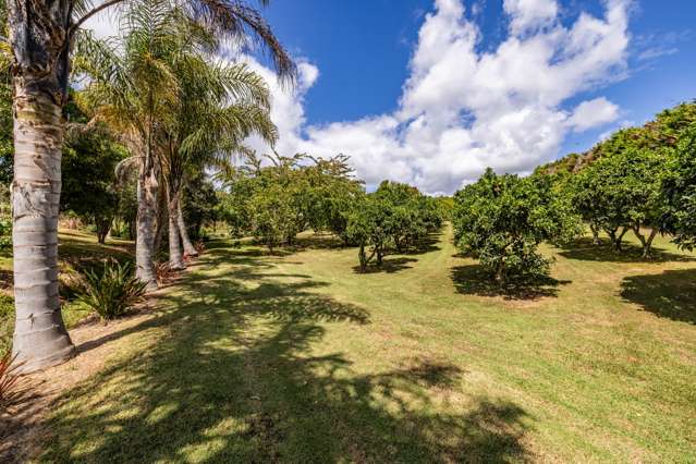 17 Poplar lane Kerikeri_2