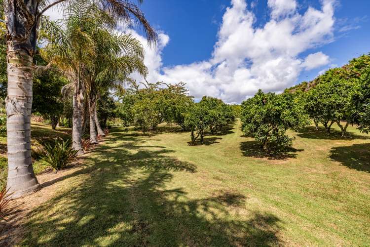 17 Poplar lane Kerikeri_2