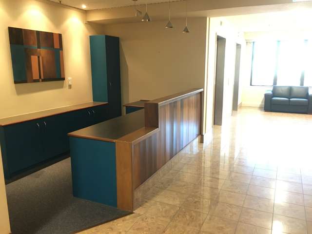 65 Rangitikei Street Palmerston North Central_2