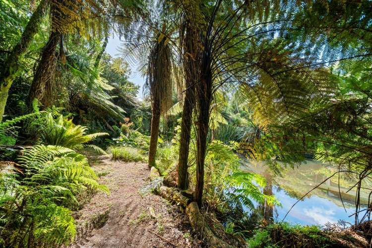 66 Kent Terrace Midhirst_26