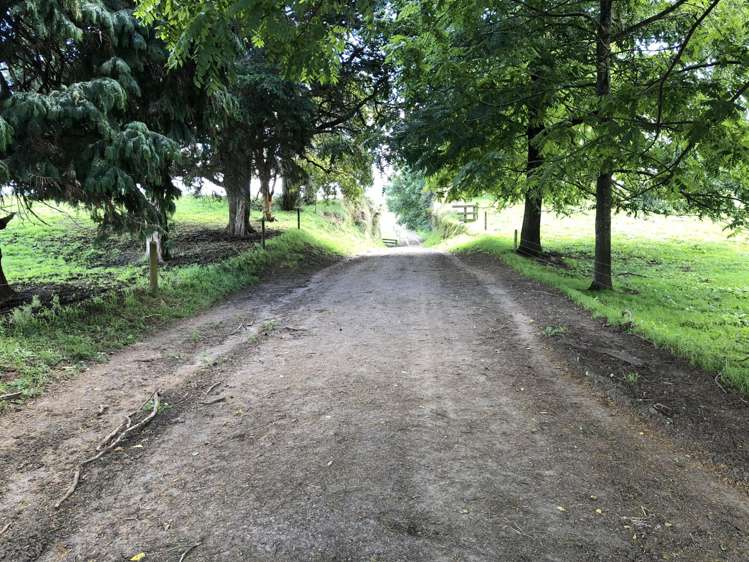 254 Somerville Road Tapapa_6