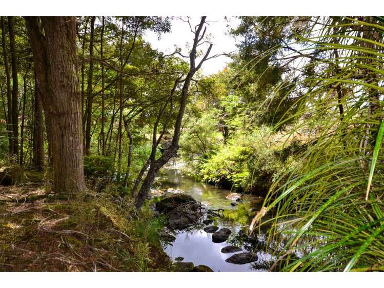 72 Morris Lane Kerikeri_13