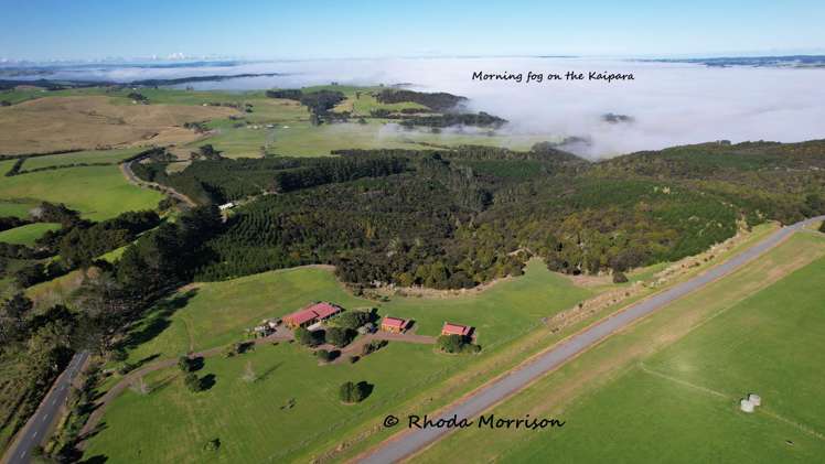 986 Tinopai Road Matakohe_61