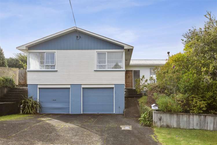 339 Tukapa Street Hurdon_1