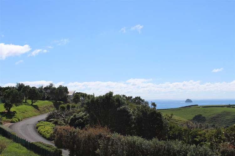 29 Washer Road Omata_9