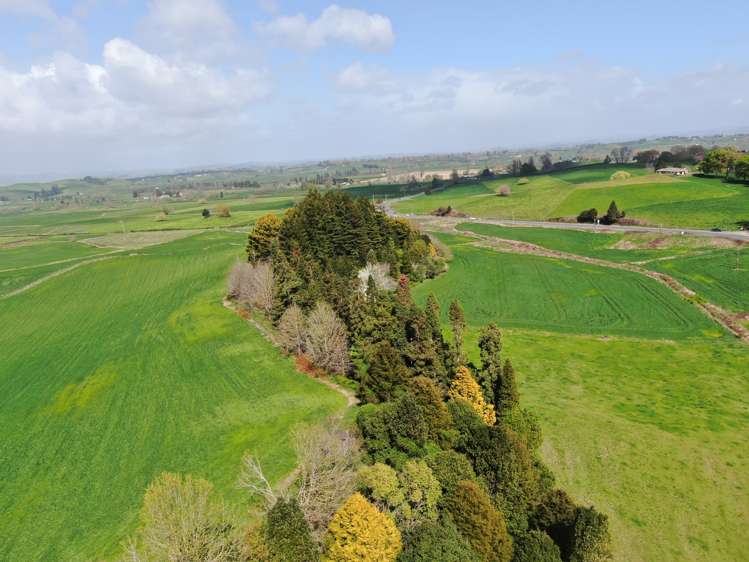 1375 State Highway 3 Otorohanga_16