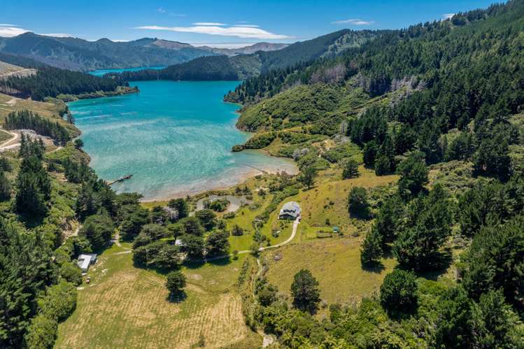 528 Oyster Bay Marlborough Sounds_36