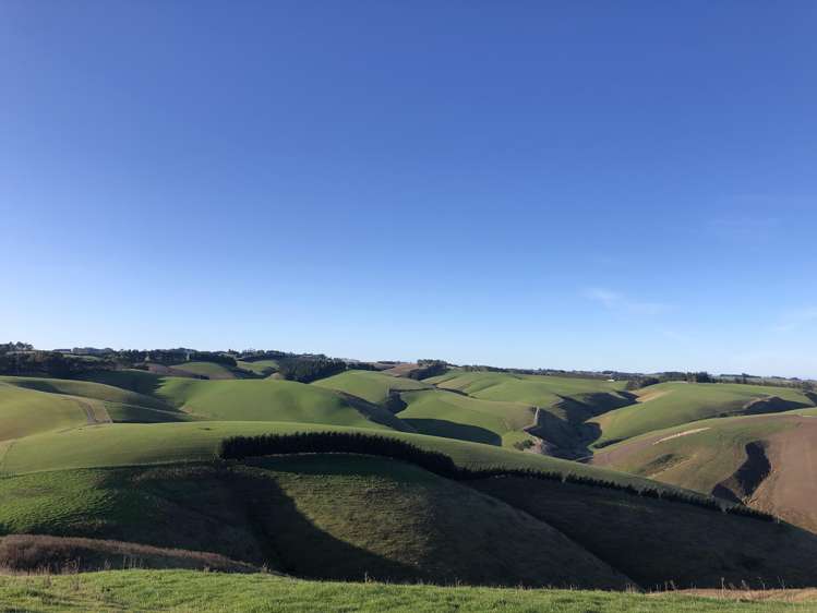 174 Mcculloch Road Balclutha_14