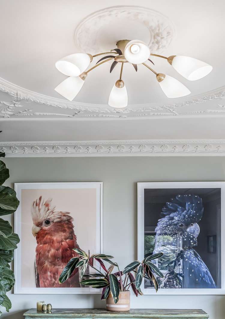 22 Imperial Terrace Melrose_16