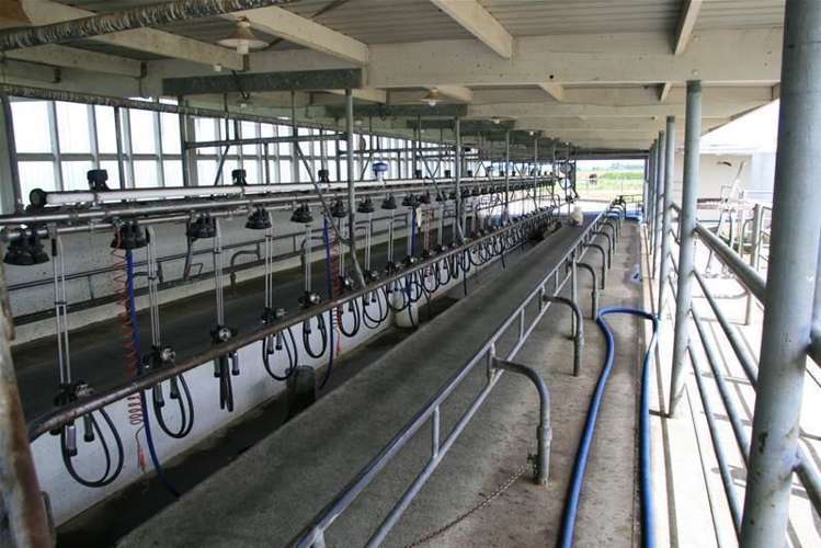 492 Manaia Road Manaia_9