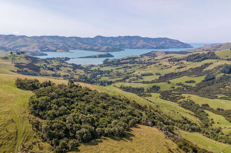 175 Barrys Bay Valley Road Barrys Bay_21