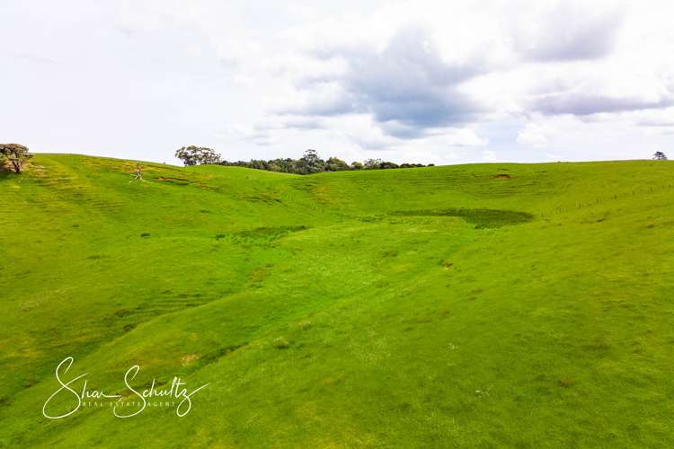 1509 Tinopai Road Tinopai_15