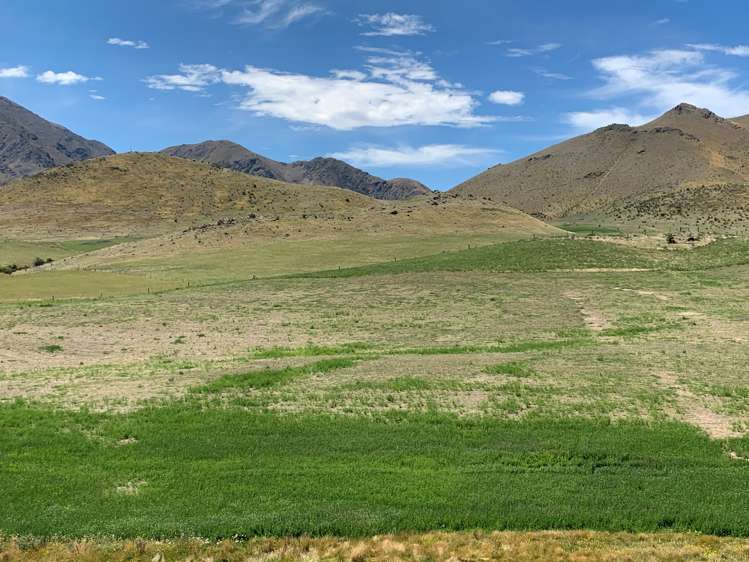 3570 Omarama-Otematata Road Otematata_8