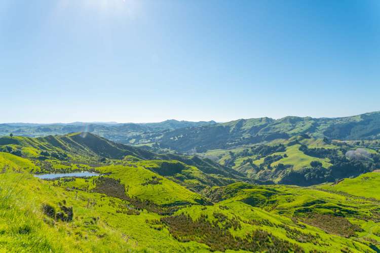 229 Rangikohua Road Tolaga Bay_19