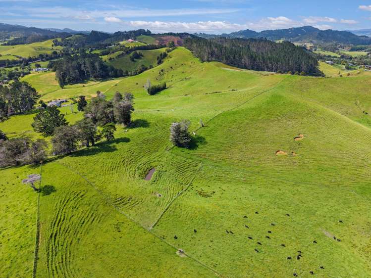 54 Harris Road Glenbervie_7