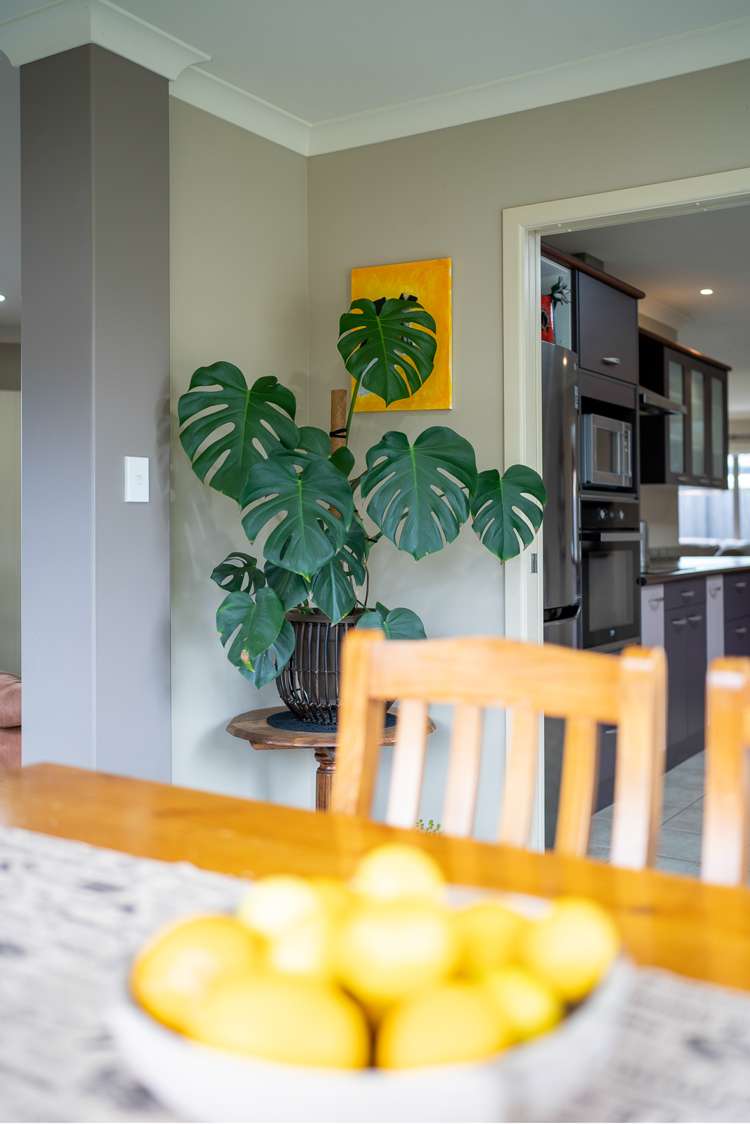 18 Mirbeck Avenue Cambridge_6