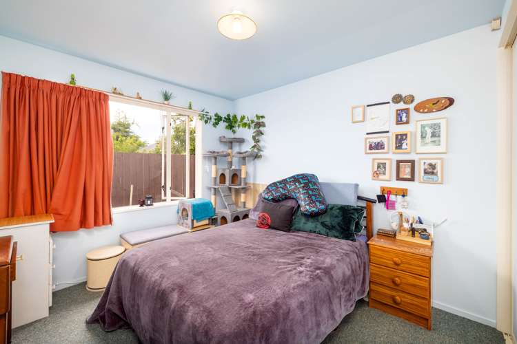 17 Mcleish Lane Spreydon_13