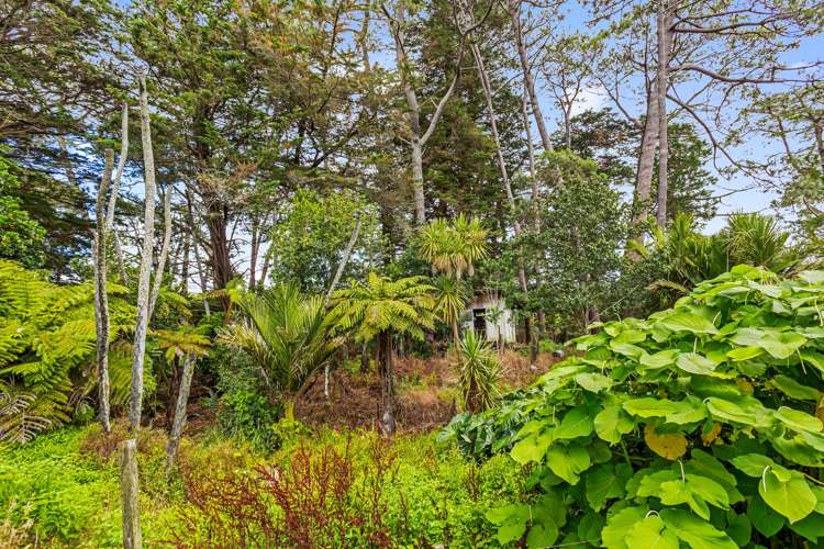 37 Camp Road Whitianga_34