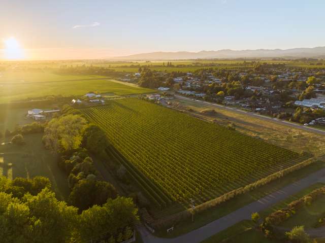 15 Alma Street North Renwick_1