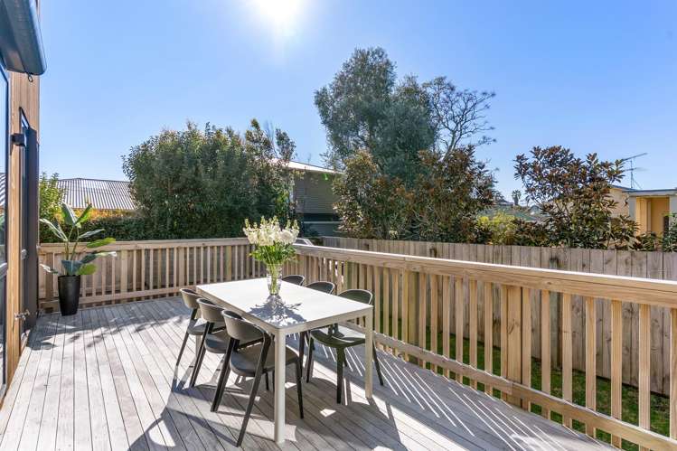 98a Nile Road Milford_7