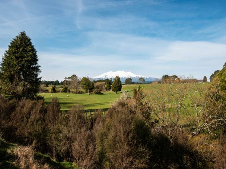 State Highway 4 Owhango_11