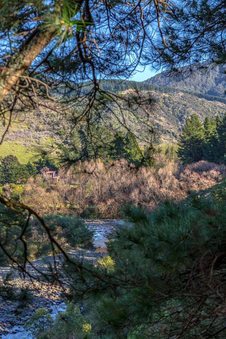 351 Upper Waingawa Road Kaituna_13