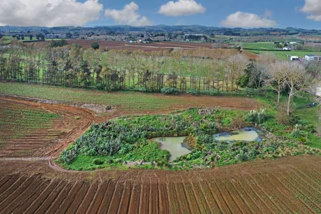 146 Ray Wright Road Pukekohe_3