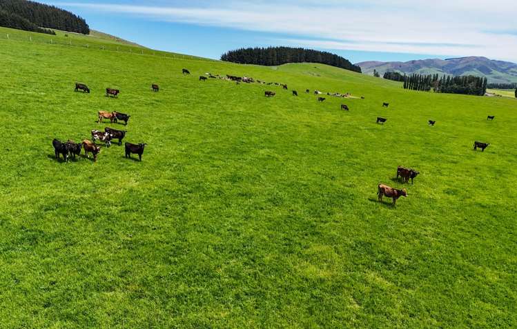 242 Caroline Valley Road Caroline_1