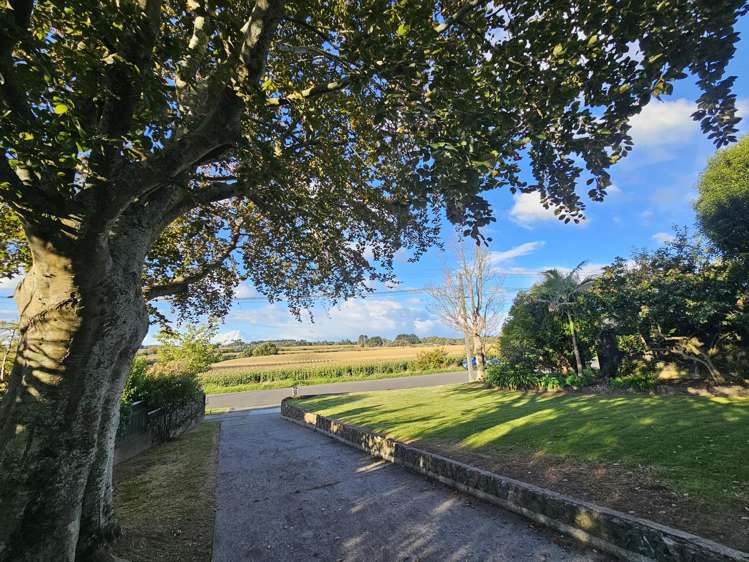 83 Kawiu Road Levin_13