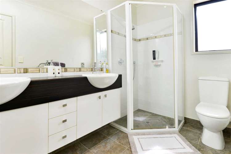 50 Wright Road Dairy Flat_12