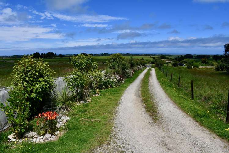 366 Oparara Loop Road Karamea_28