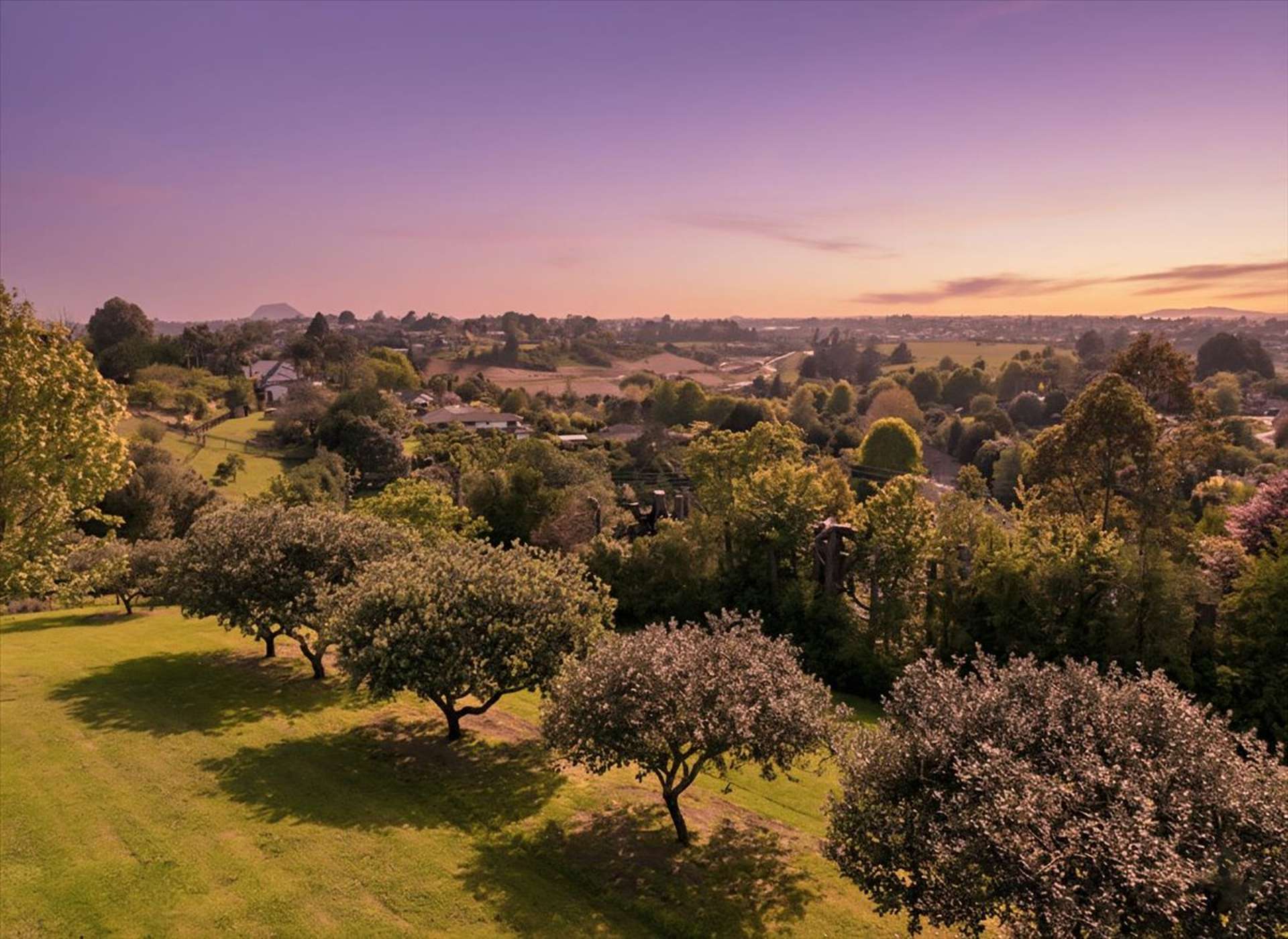 337 Cambridge Road Tauriko_0