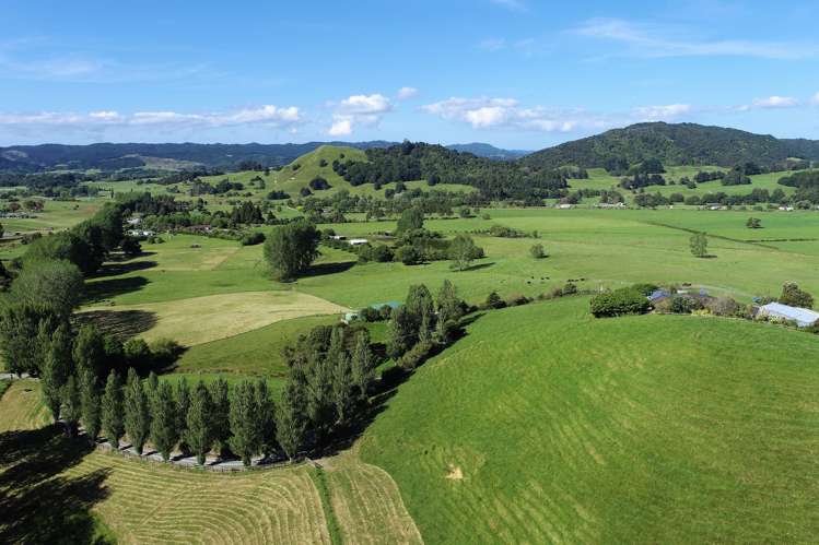 101 Guy Road Kaipara Flats_7