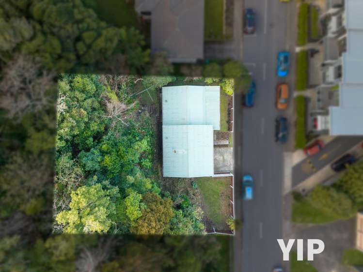 24 Batchelor Street Newlands_9