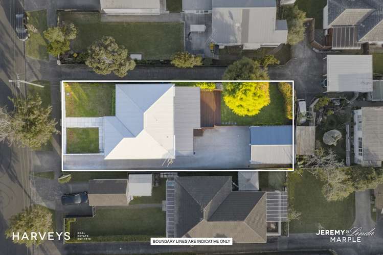 43 Willerton Avenue New Lynn_18