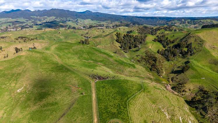 1026 Limeworks Loop Road Te Pahu_8