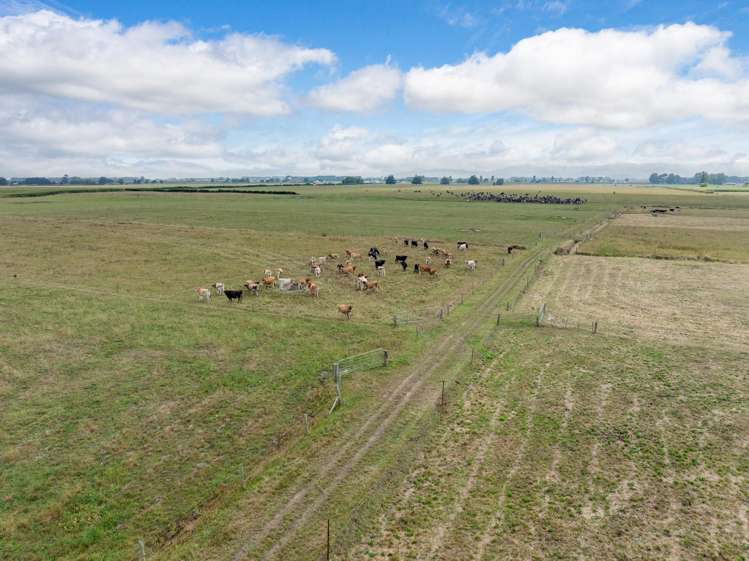 3797 State Highway 27 Morrinsville_10